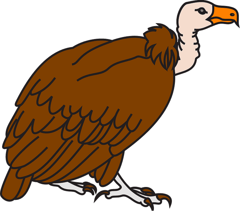 Vulture Clipart Transparent
