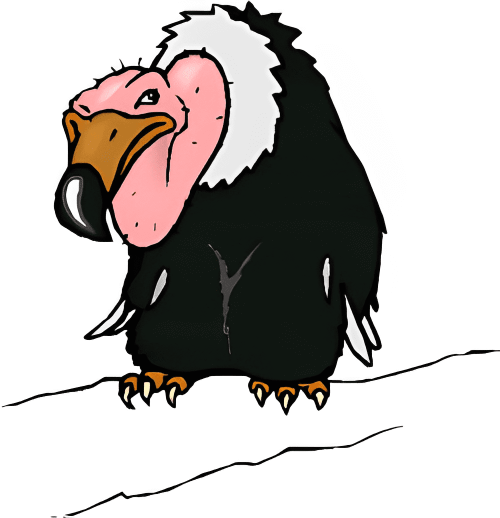 Vulture Free Png Image