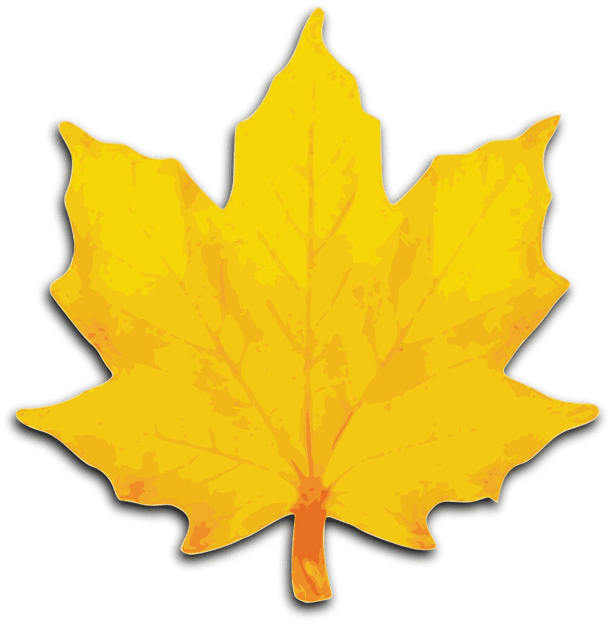 Yellow Maple Leaf Clip Art