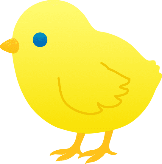 Chick Clipart Photo