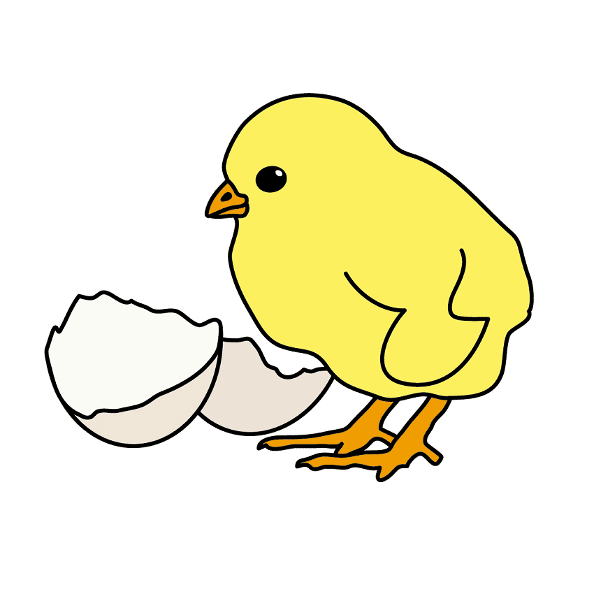 Chick Clipart Png Free