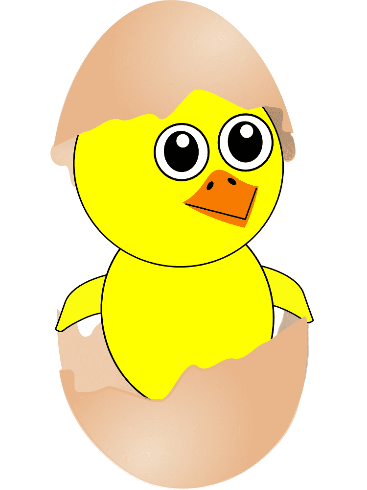 Chick Clipart Png Photo