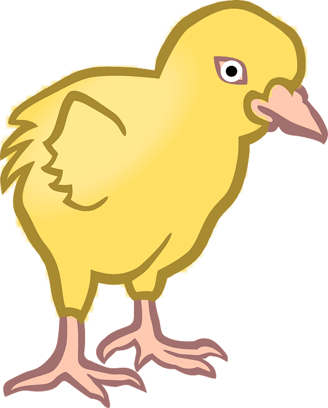 Chick Clipart Transparent