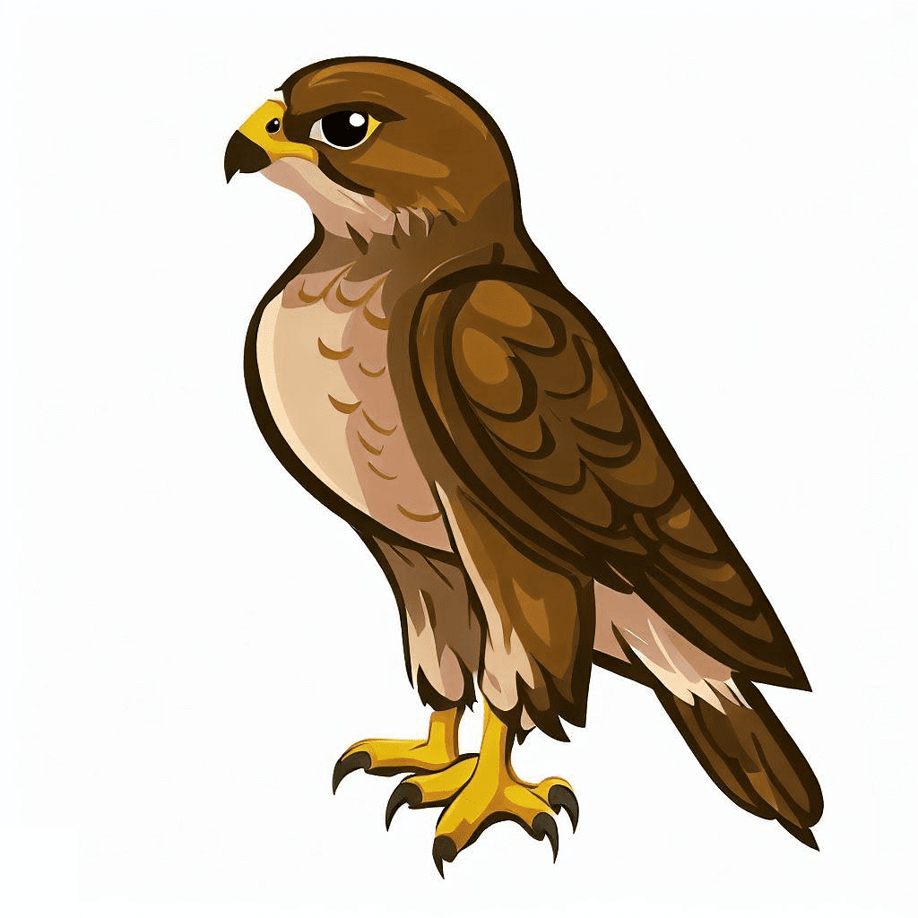 Clipart Hawk
