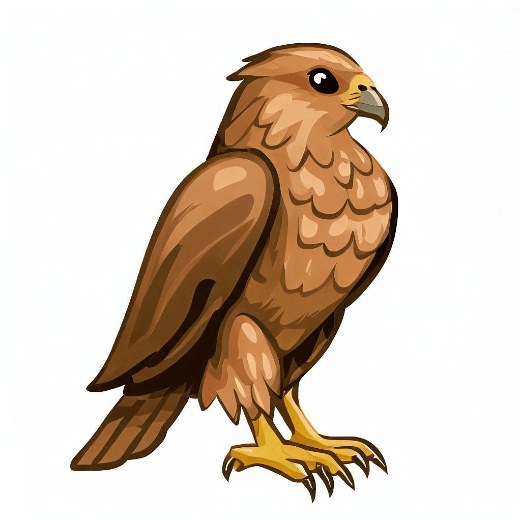 Clipart of Hawk