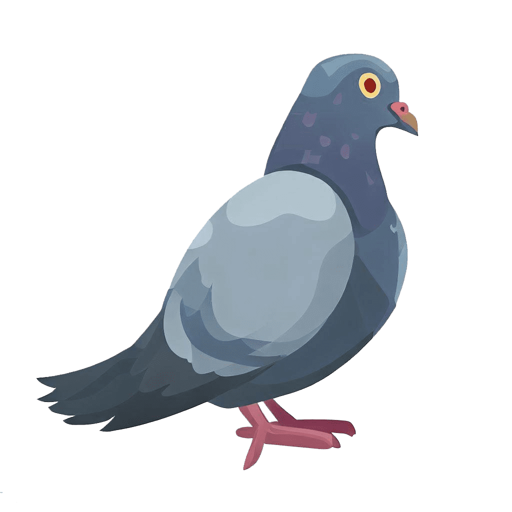 Download Pigeon Clipart Transparent