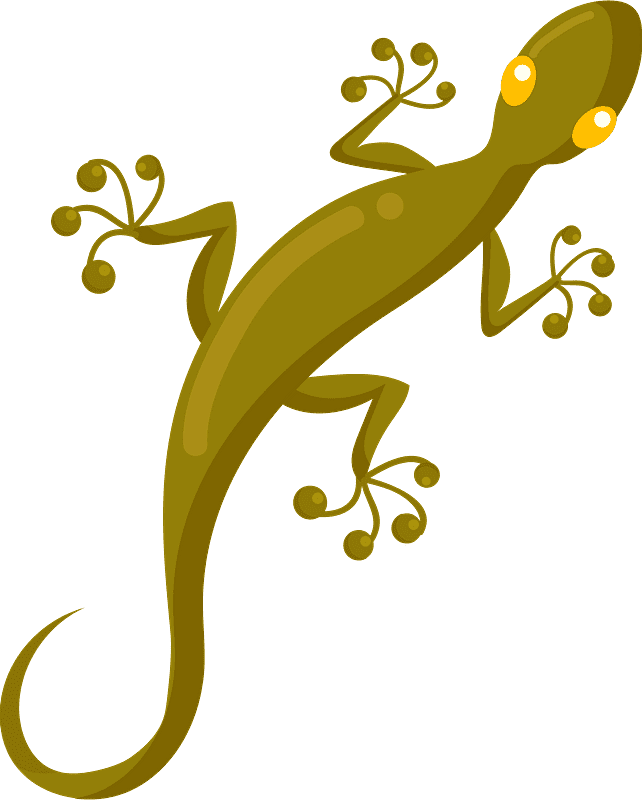 Gecko Clipart Transparent Background