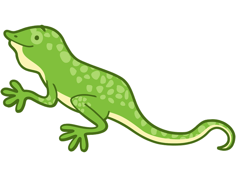 Gecko Clipart Transparent Image