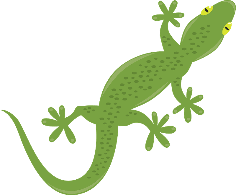 Gecko Clipart Transparent Png