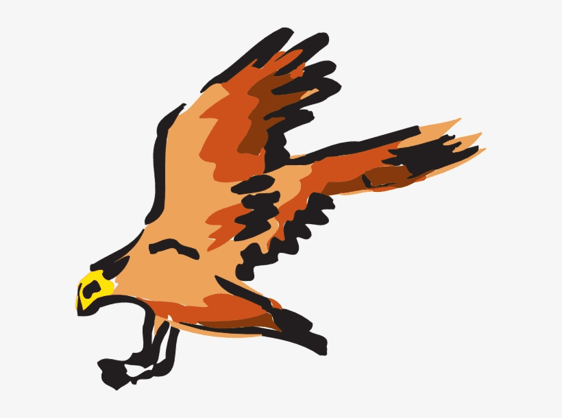 Hawk Bird Clipart