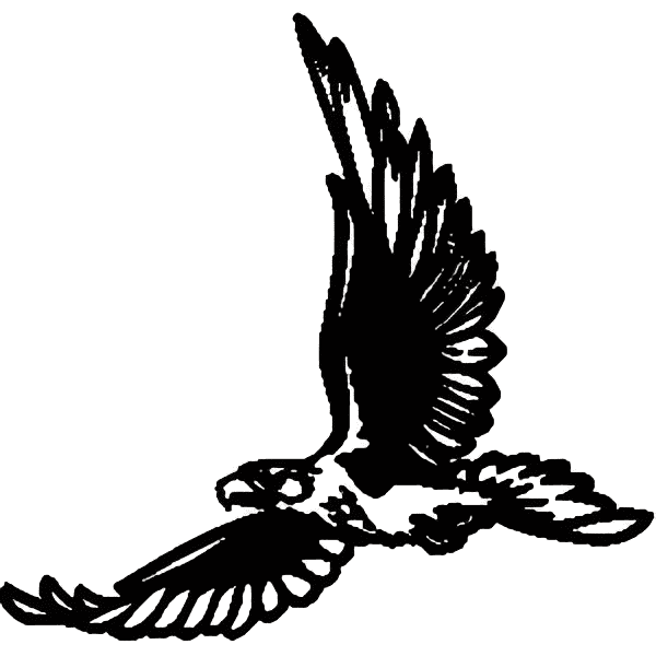 Hawk Clipart Black and White