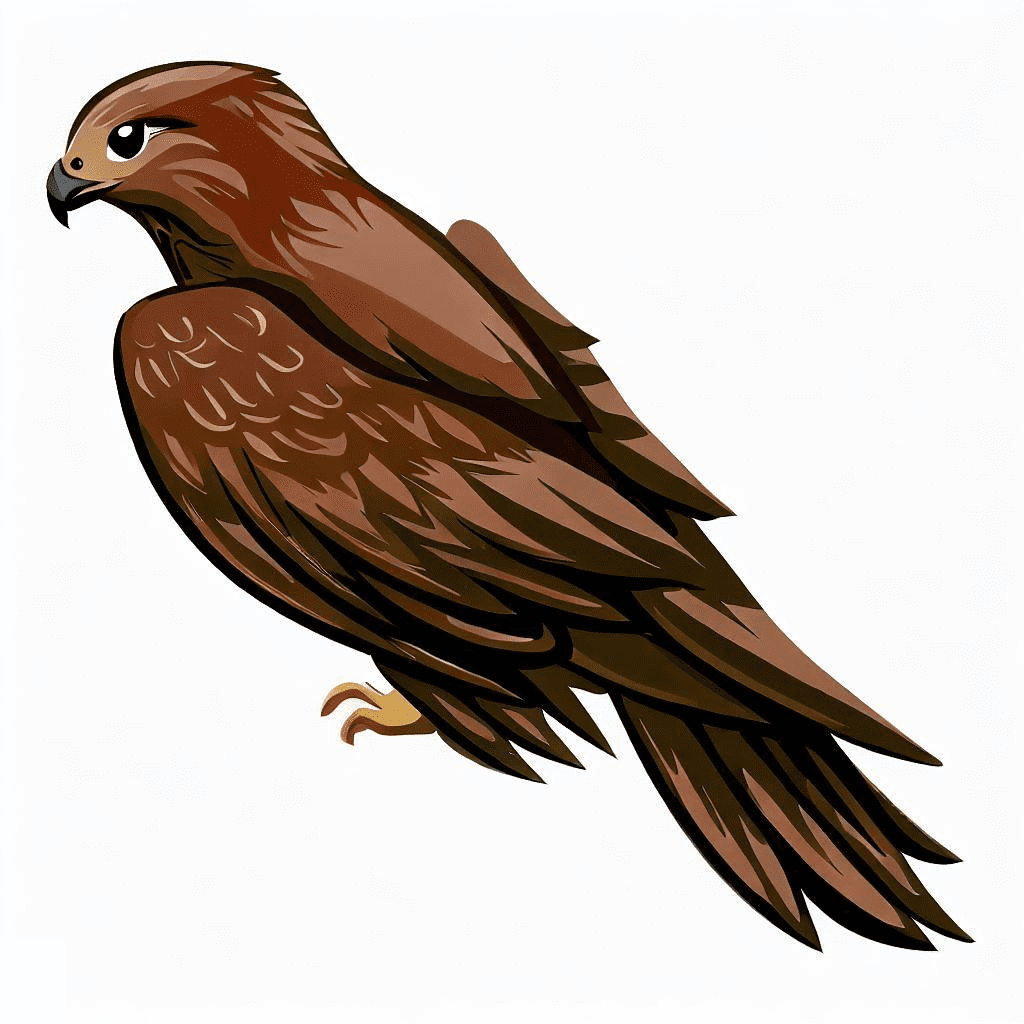 Hawk Clipart Image