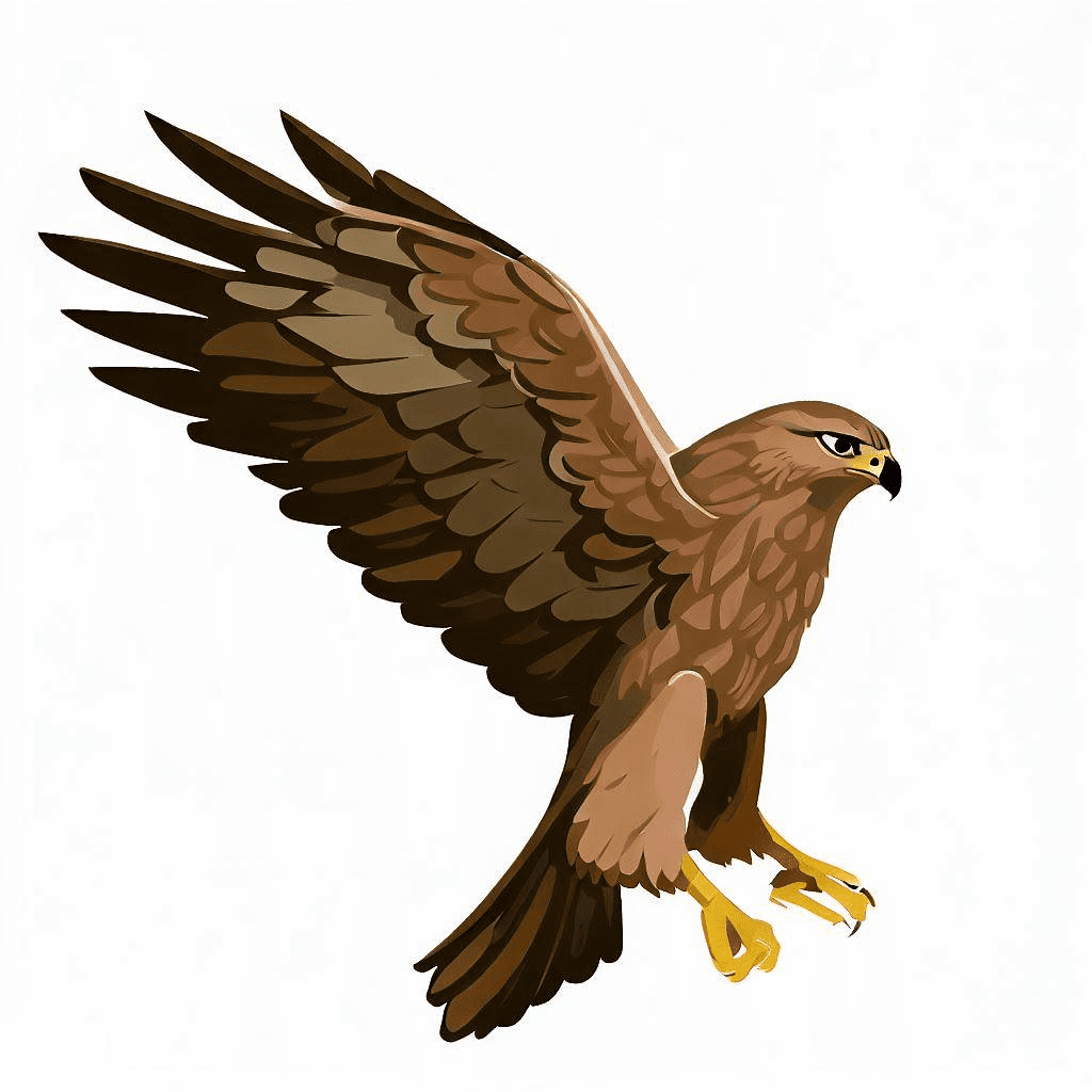 Hawk Clipart Png