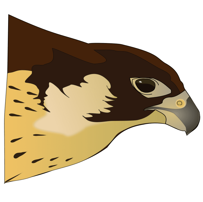 Hawk Head Clipart