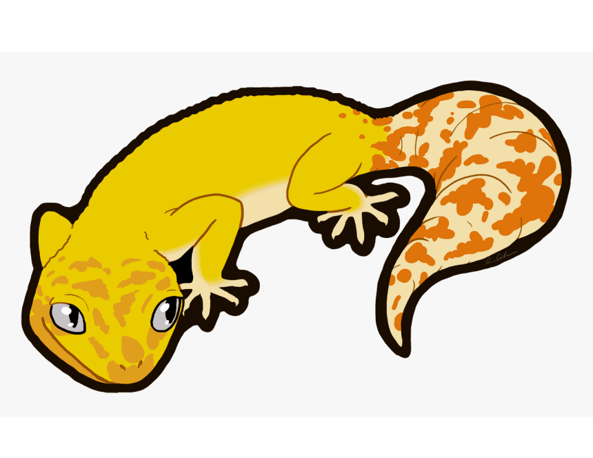 Leopard Gecko Clipart