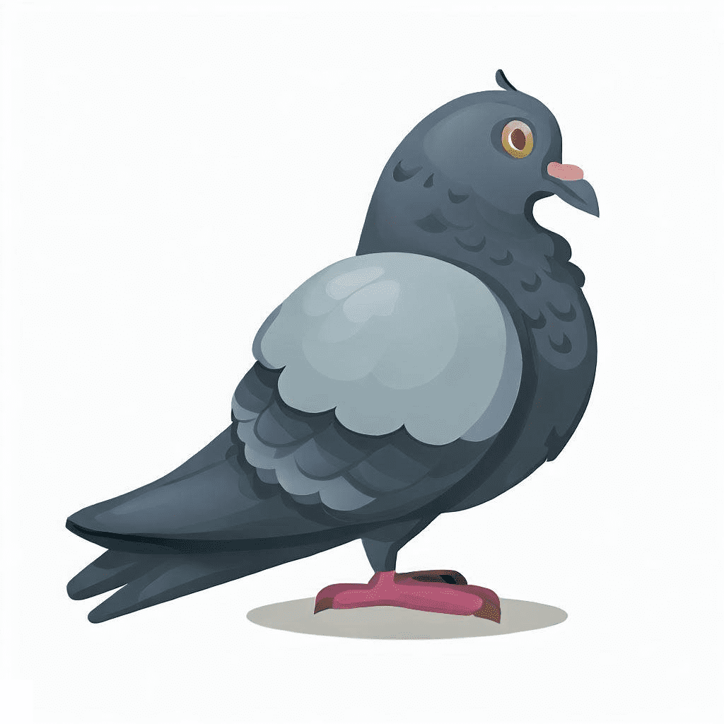 Pigeon Clipart For Free
