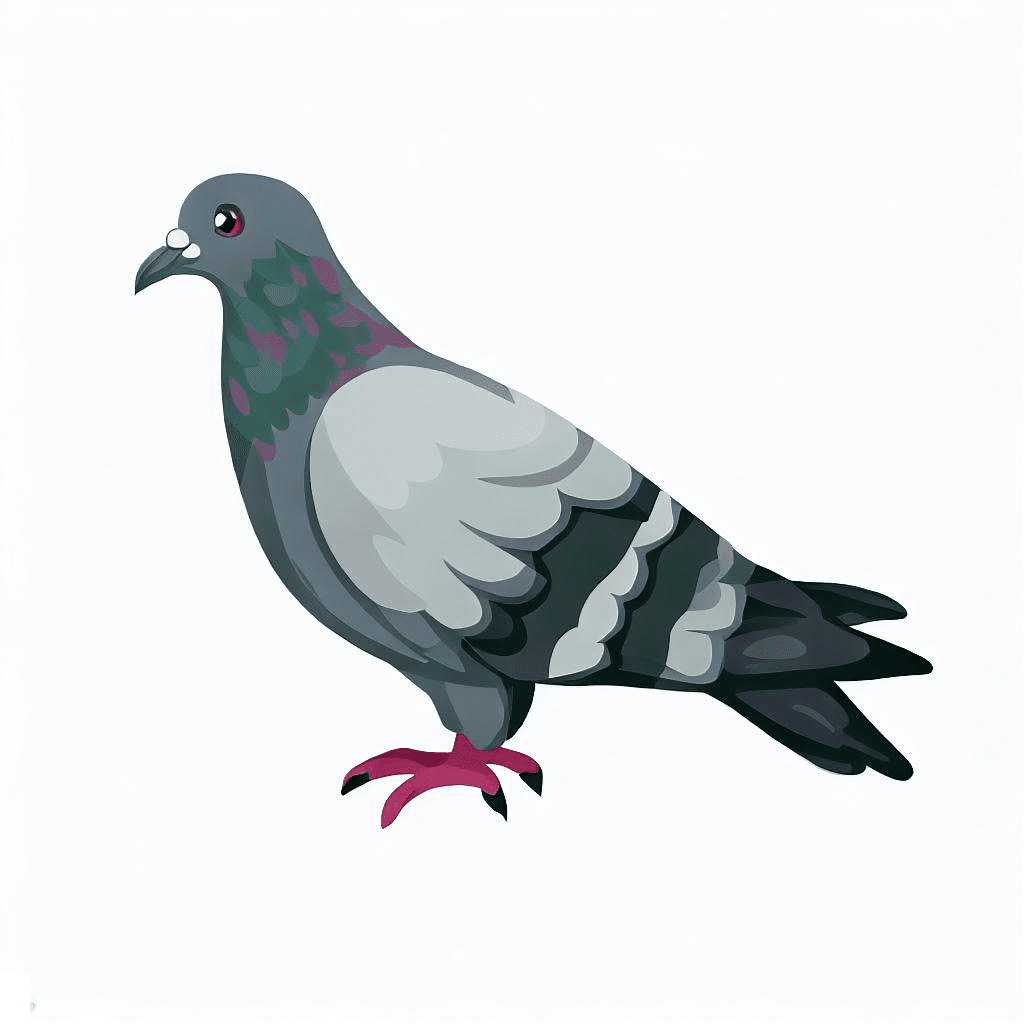 Pigeon Clipart Free Download