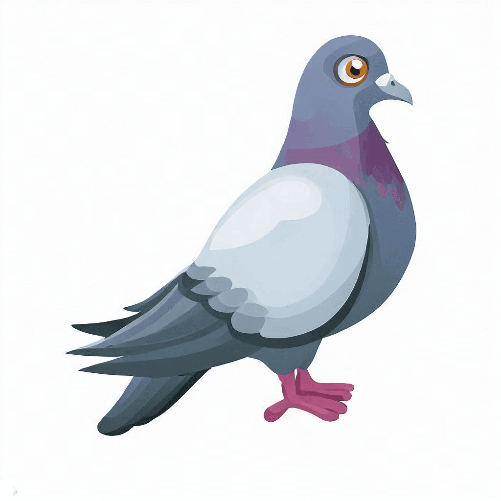 Pigeon Clipart Free Photo