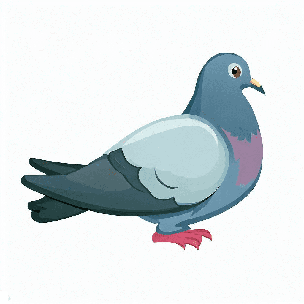 Pigeon Clipart Free Picture