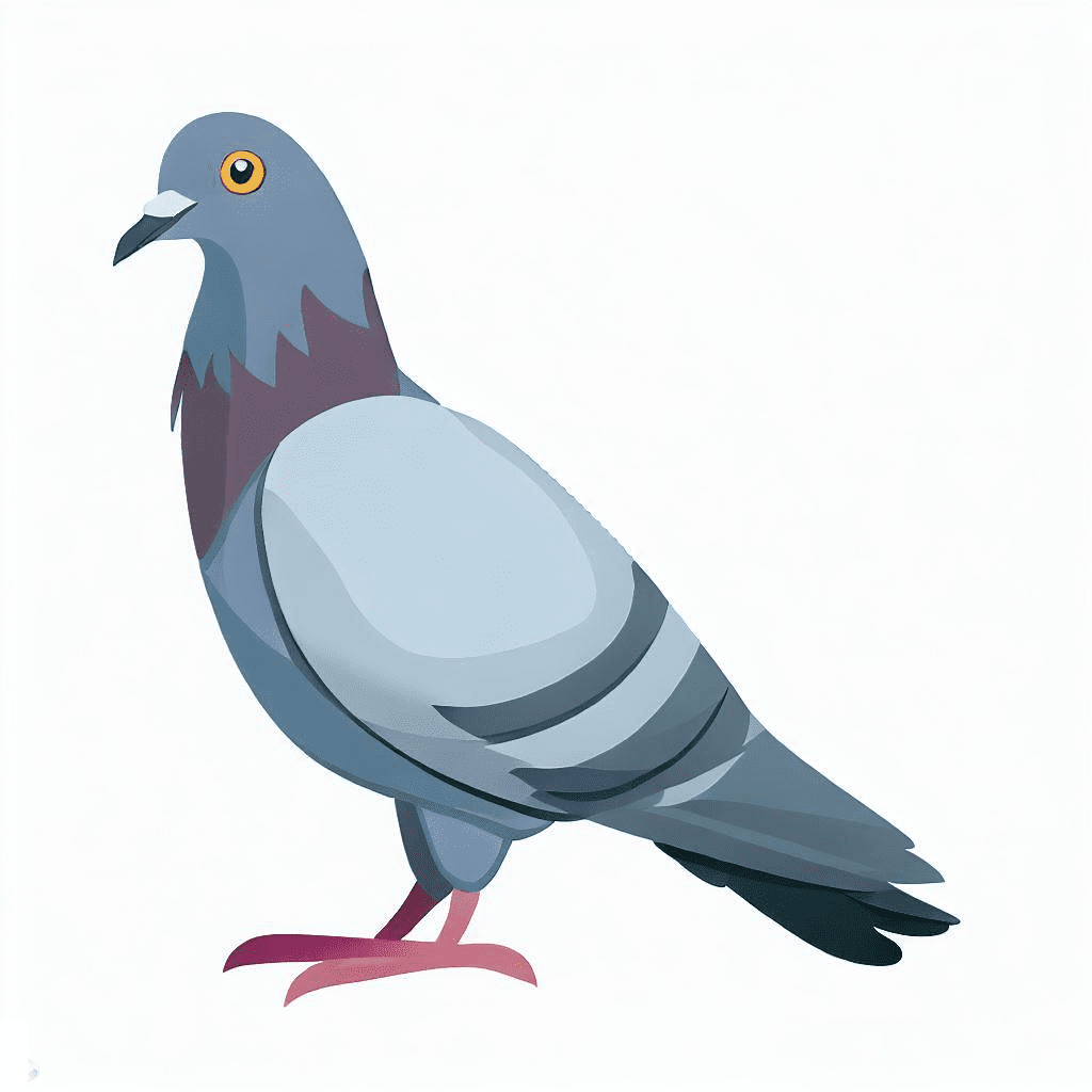 Pigeon Clipart Png Pictures