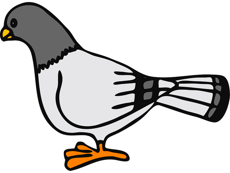 Pigeon Clipart Transparent Download