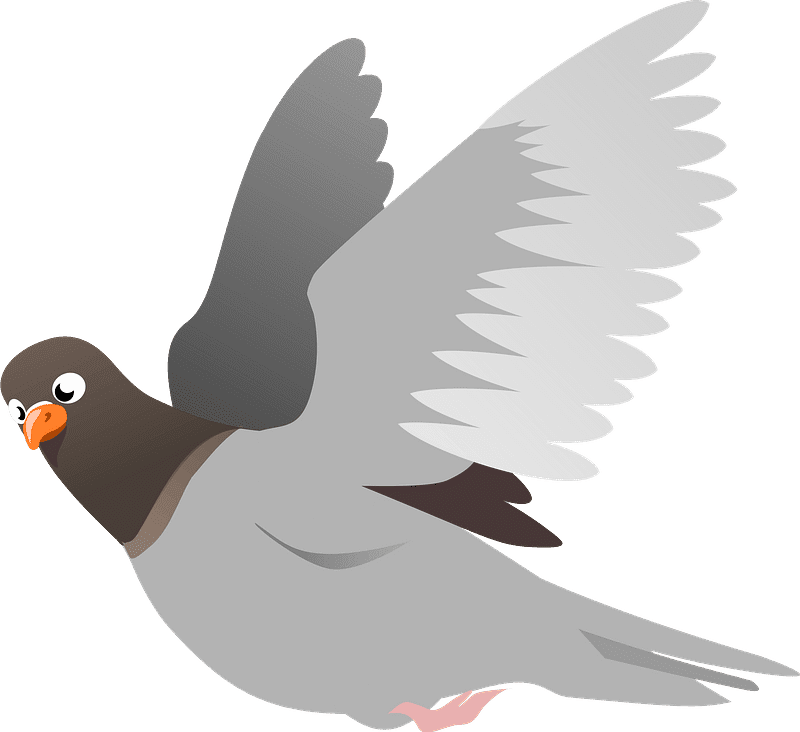 Pigeon Clipart Transparent Png