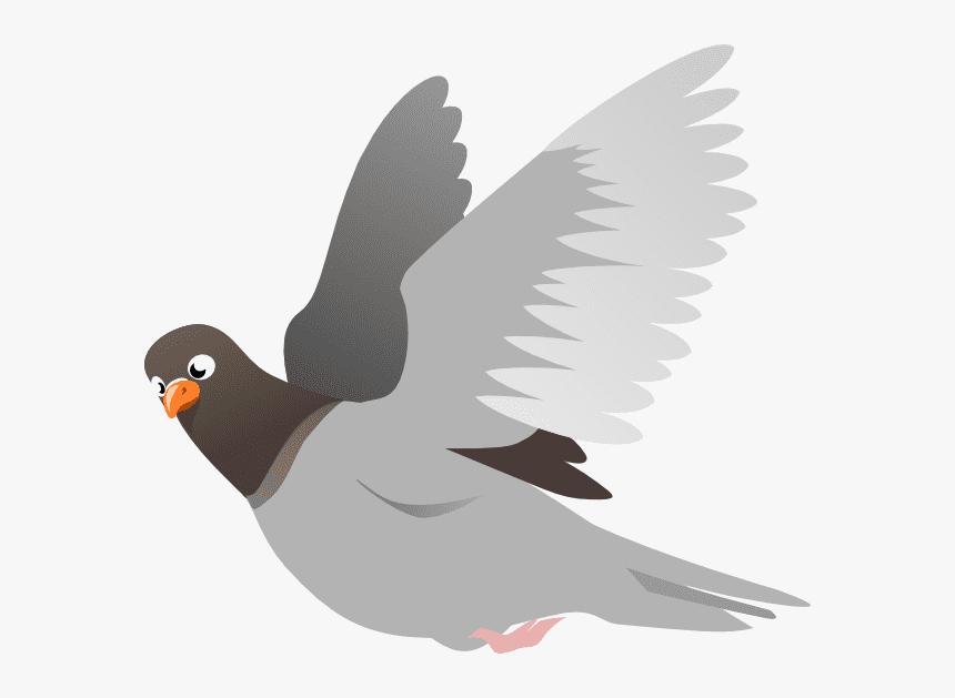 Pigeon Free Clipart