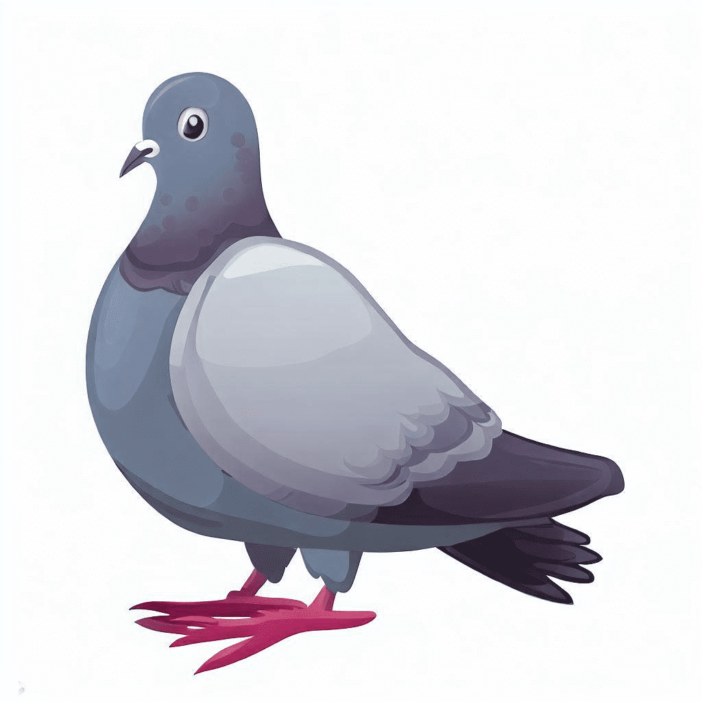Pigeon Free Png Images