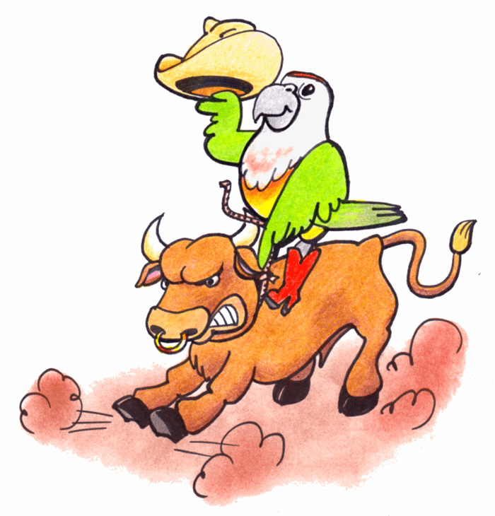 Rodeo Clipart Png Download
