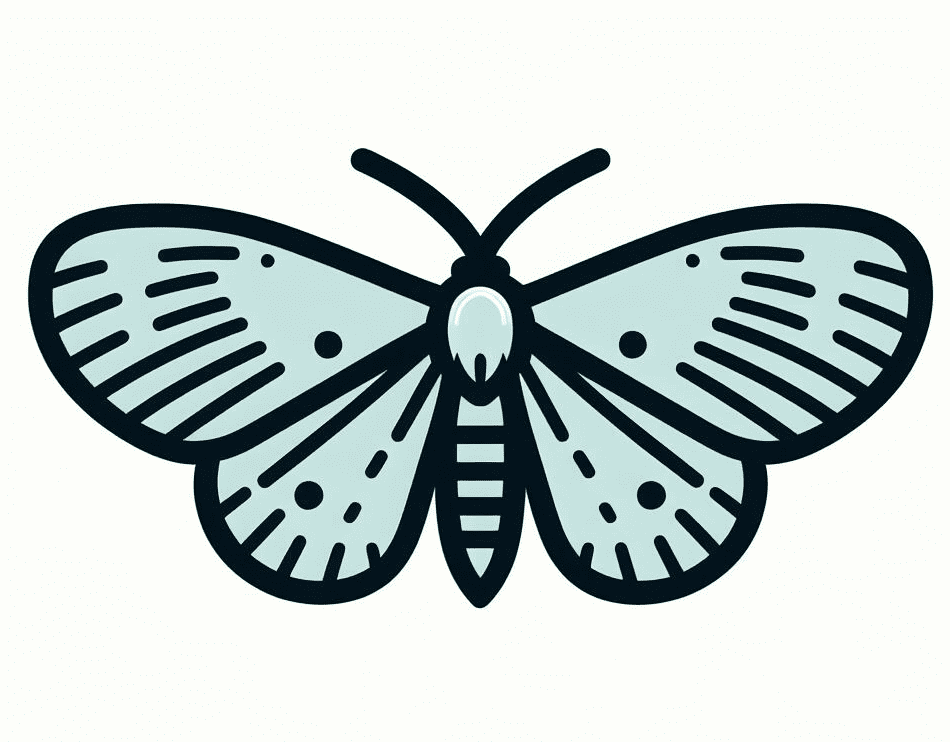Moth Clip Art
