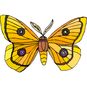 Moth Clipart Png Image