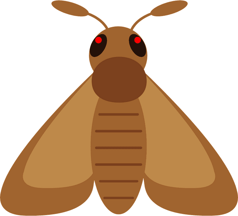 Moth Clipart Transparent Free