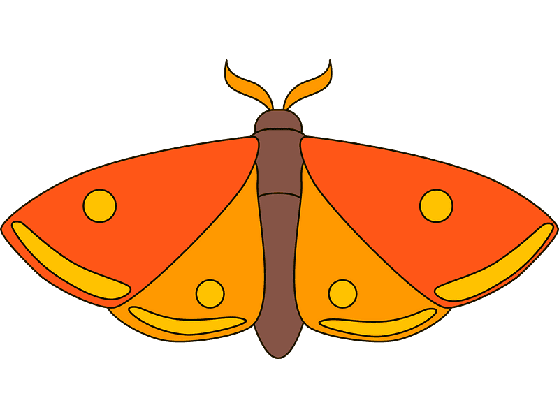 Moth Clipart Transparent
