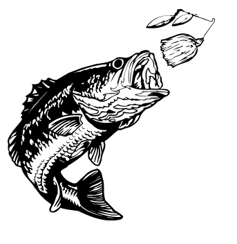 Bass Fish Black and White Clip Art