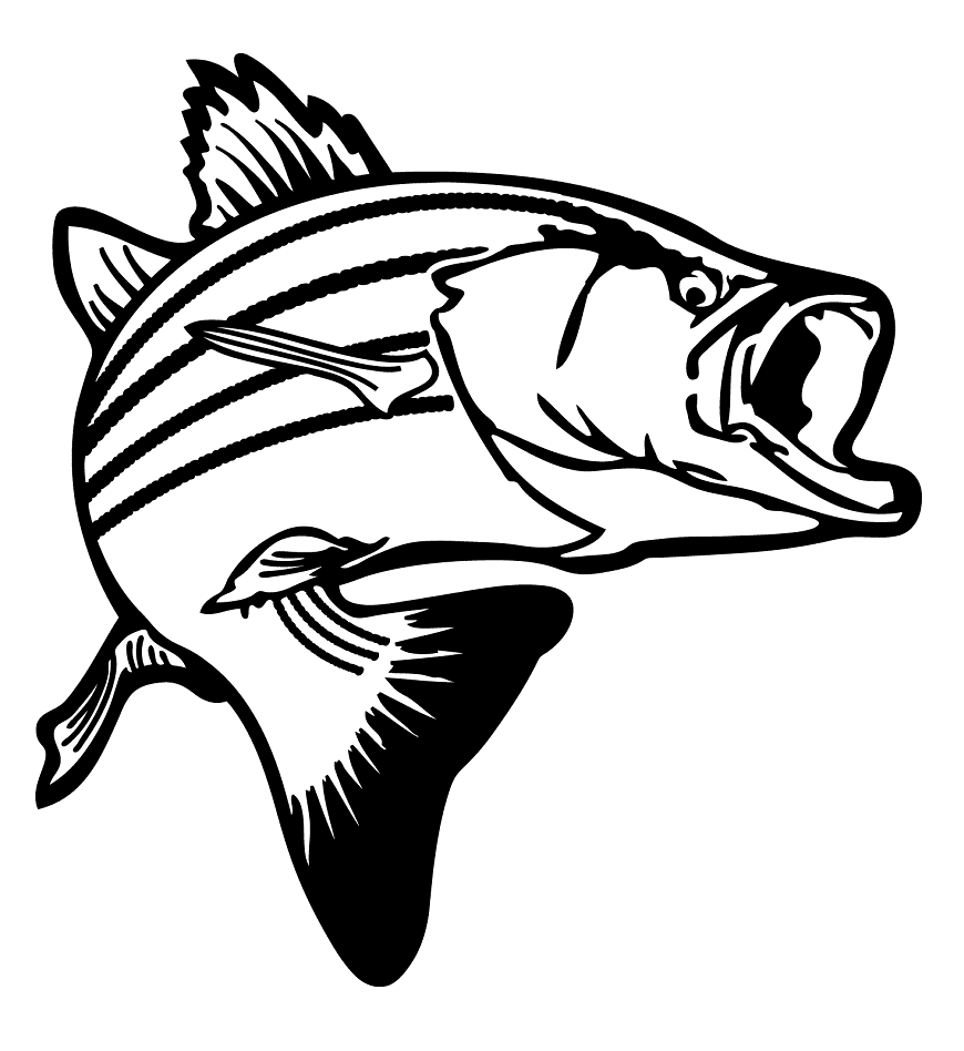 Bass Fish Black and White Clipart