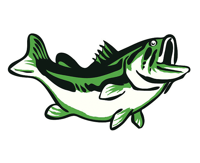 Bass Fish Clipart