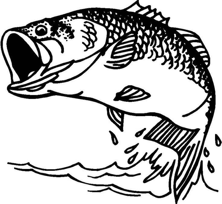 Bass Fish Clipart Black and White