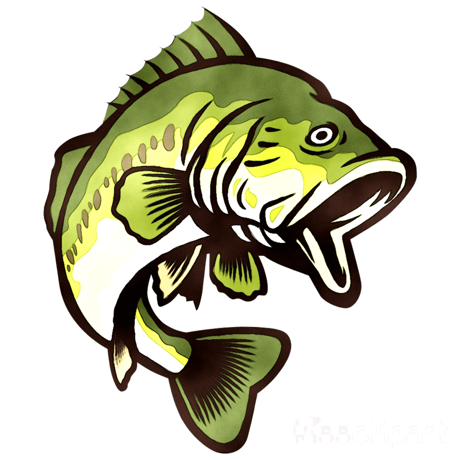 Bass Fish Clipart For Free