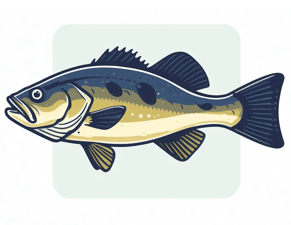 Bass Fish Clipart Free Images