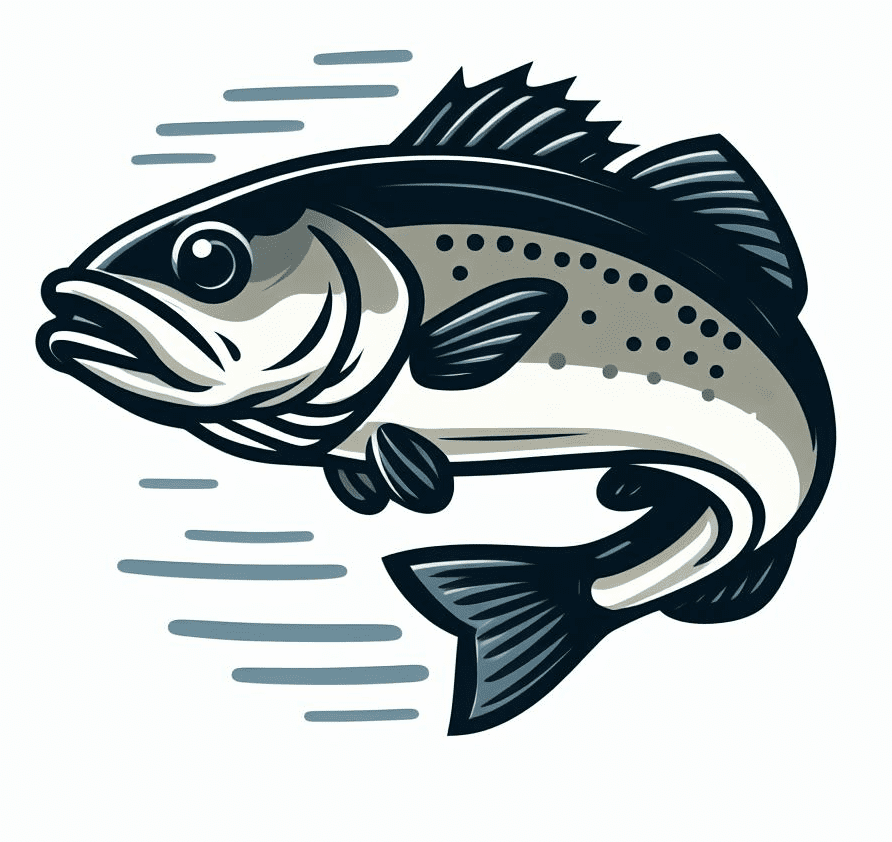 Bass Fish Clipart Pictures