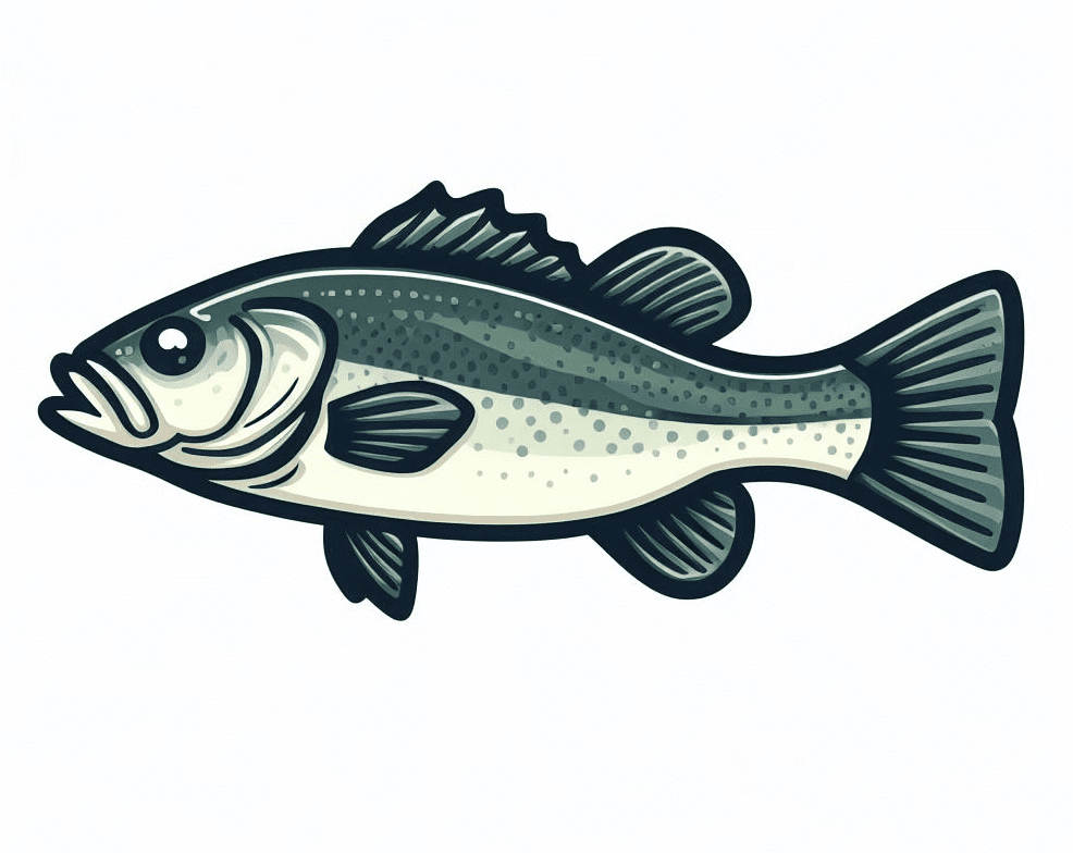 Bass Fish Clipart Png For Free