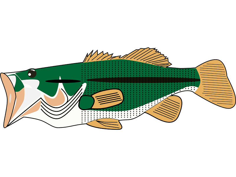Bass Fish Clipart Transparent Background