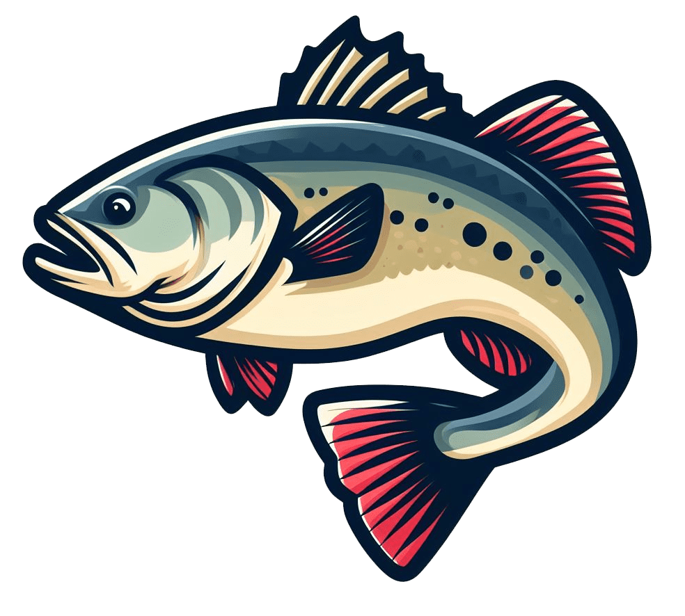 Bass Fish Clipart Transparent Download