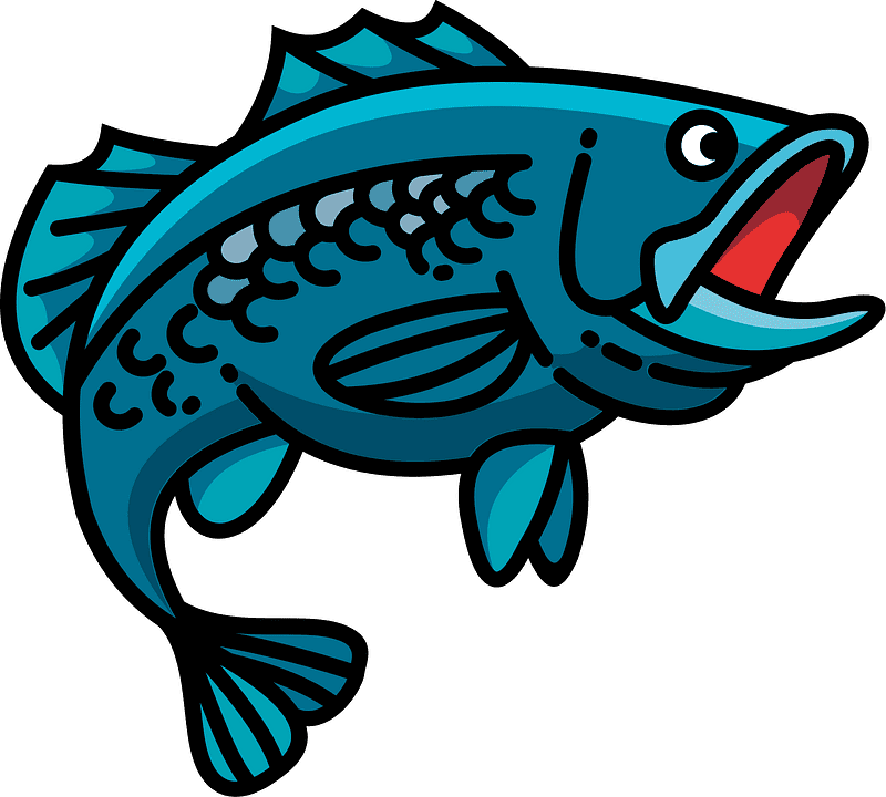 Bass Fish Clipart Transparent