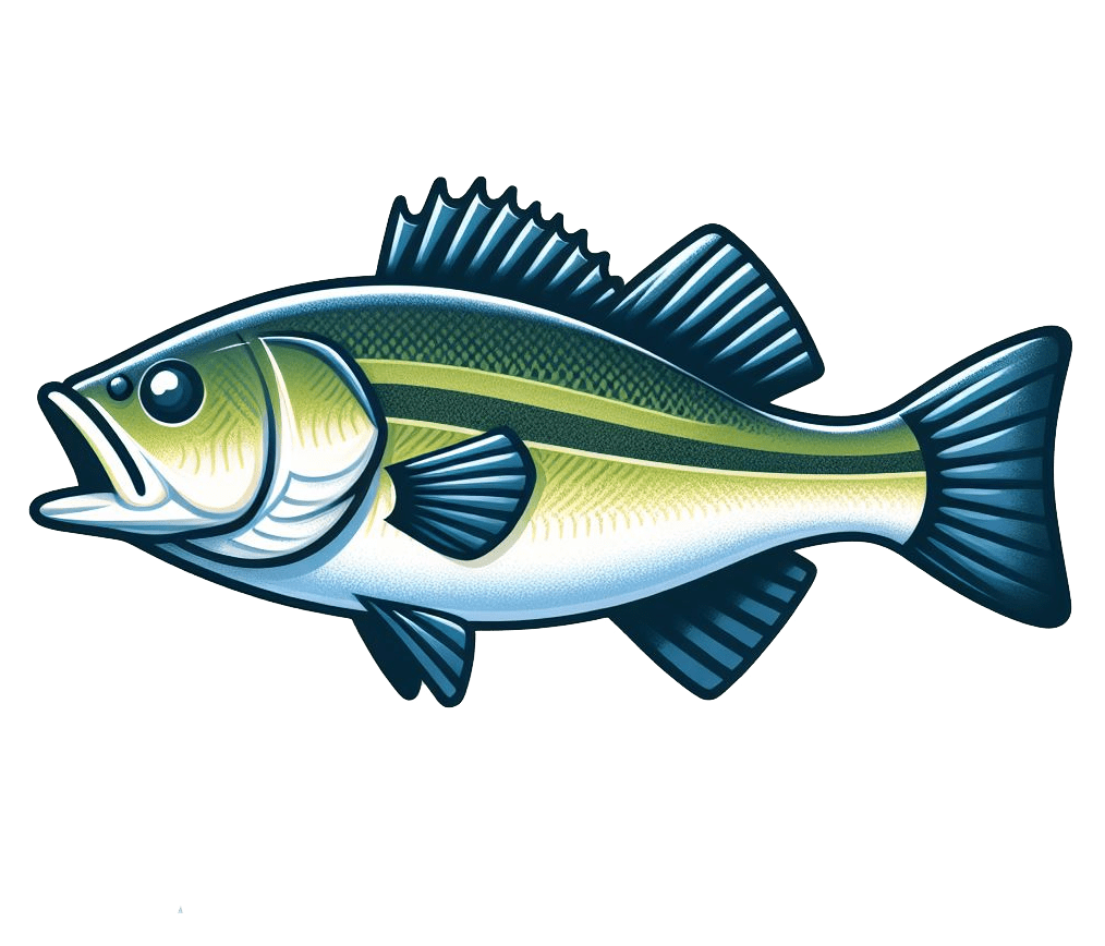 Bass Fish Transparent Clip Art