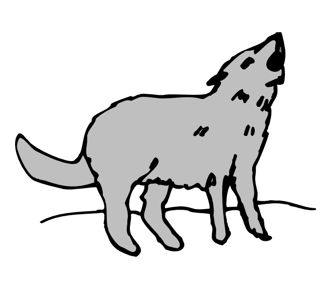 Coyote Clipart Free Pictures