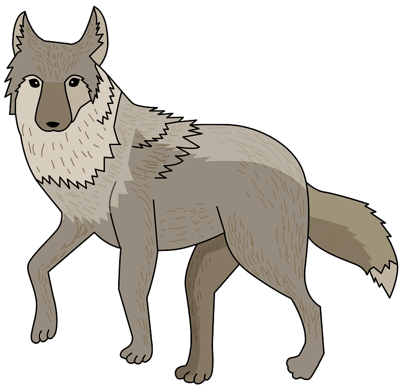 Coyote Clipart Transparent Background