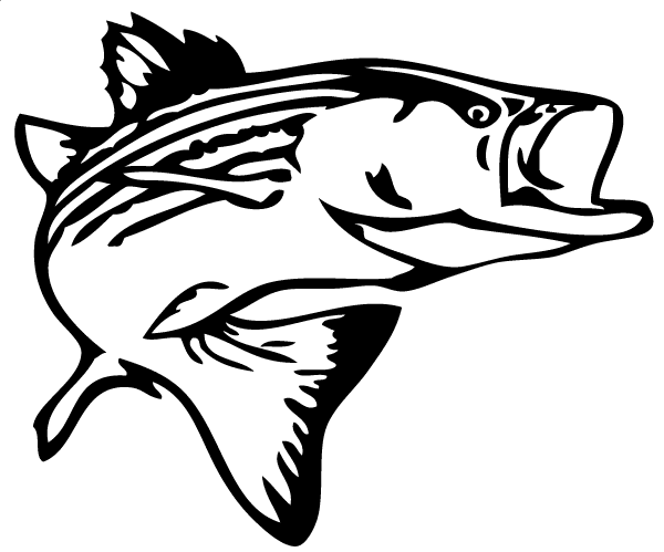 Download Bass Fish Clipart Black and White