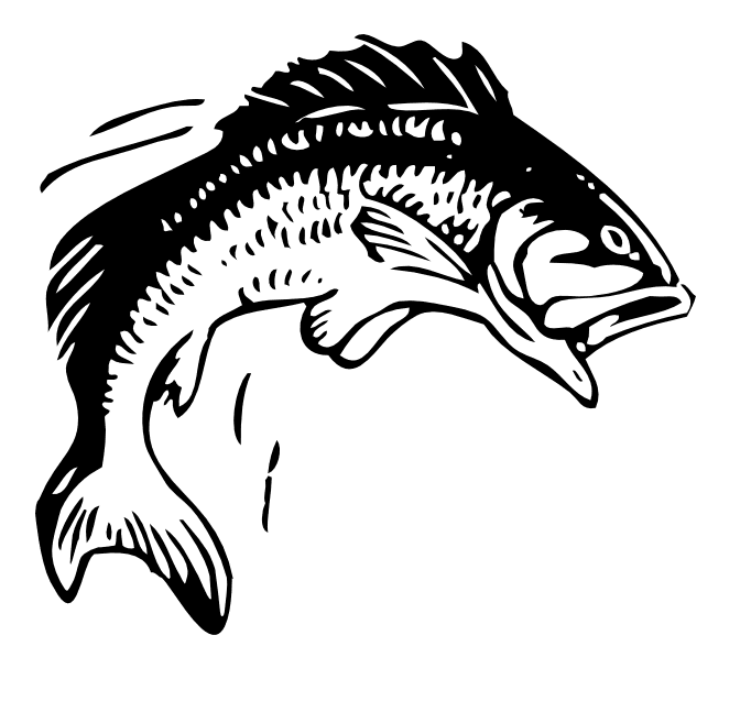 Free Bass Fish Clipart Black and White