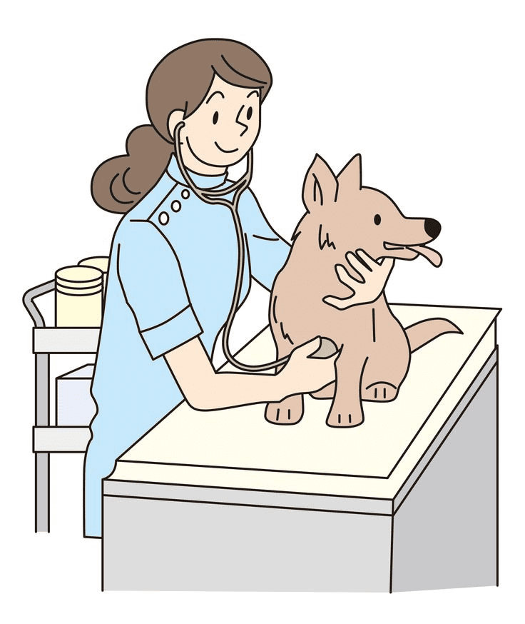 Veterinarian Clipart Png Picture